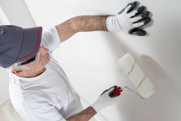 Best Fire-Damaged Drywall Repair  in Salmon Creek, WA